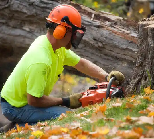 tree services McGuire AFB